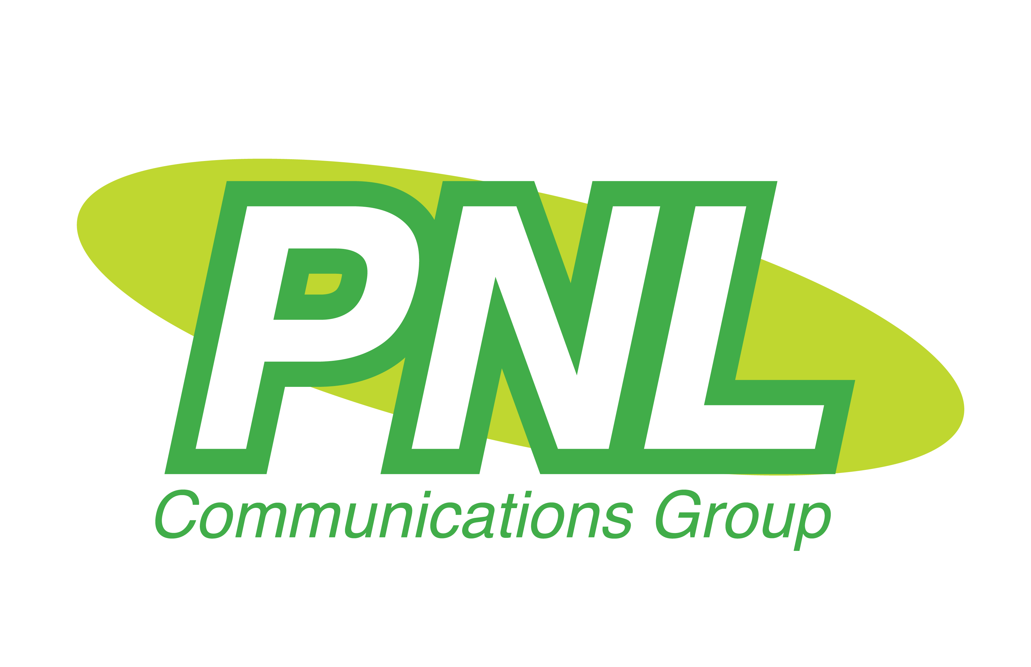 Detail Pnl Logo Nomer 13