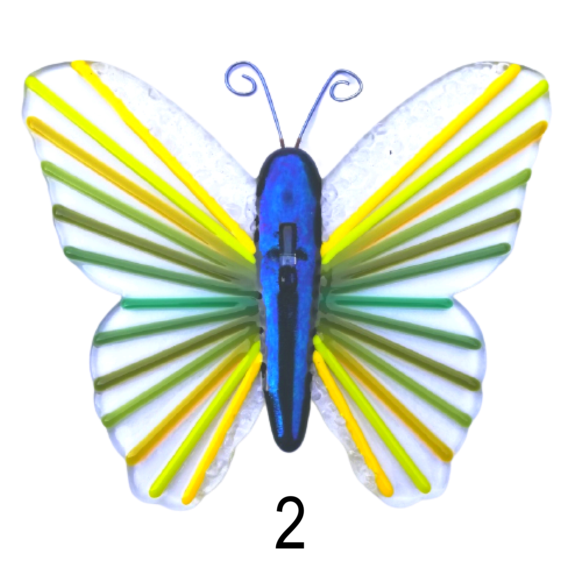 Detail Schmetterling Schwarz Gelb Nomer 25