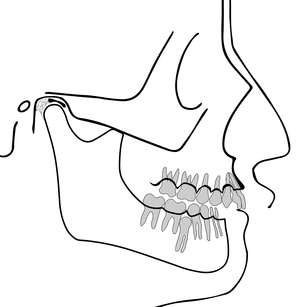 Detail Zahn Und Mensch Nomer 6