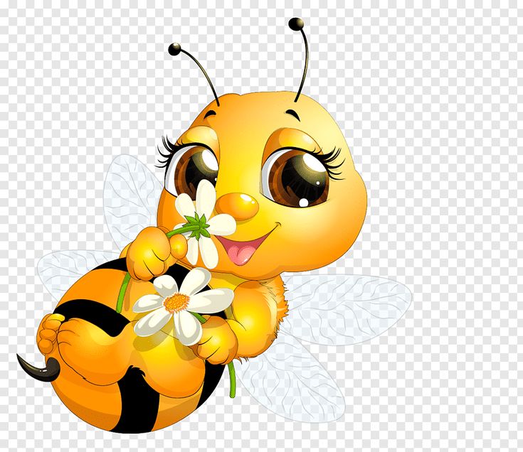 Detail Honey Bee Cartoon Nomer 16