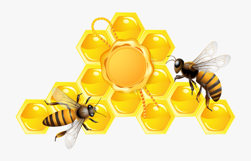 Detail Honey Bee Png Nomer 21