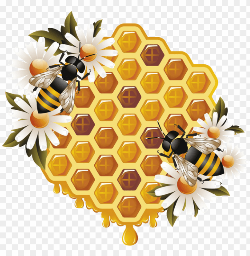 Detail Honey Bee Png Nomer 26