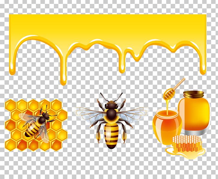 Detail Honey Bee Png Nomer 32