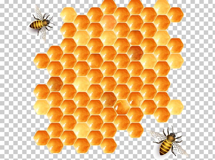 Detail Honey Bee Png Nomer 41