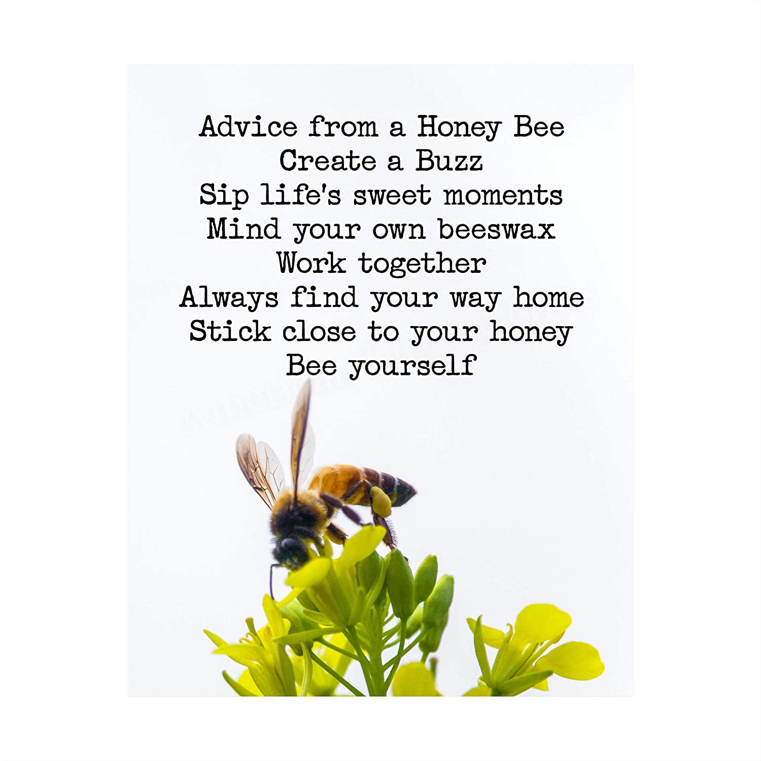 Detail Honey Bee Quotes Nomer 4