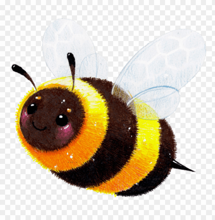 Detail Honey Bee Transparent Nomer 52