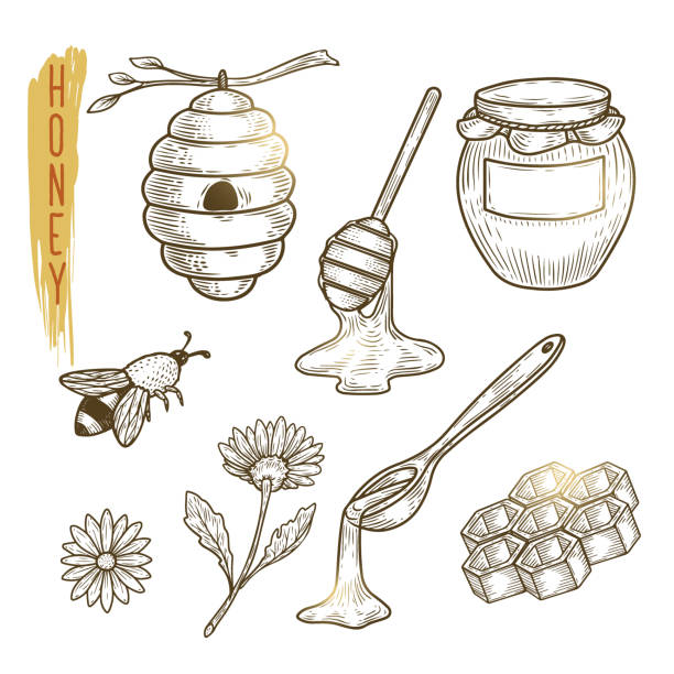 Detail Honey Clipart Nomer 29