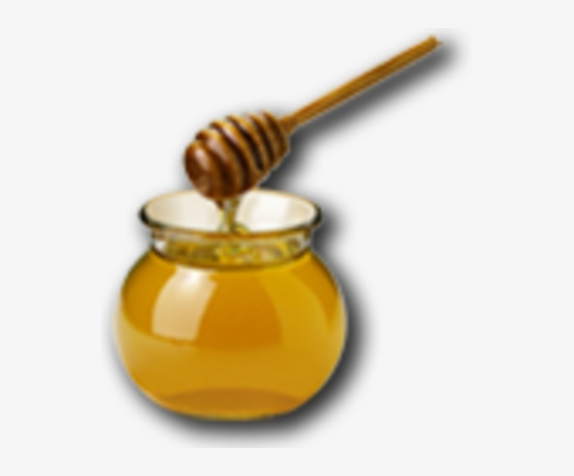 Detail Honey Clipart Nomer 32