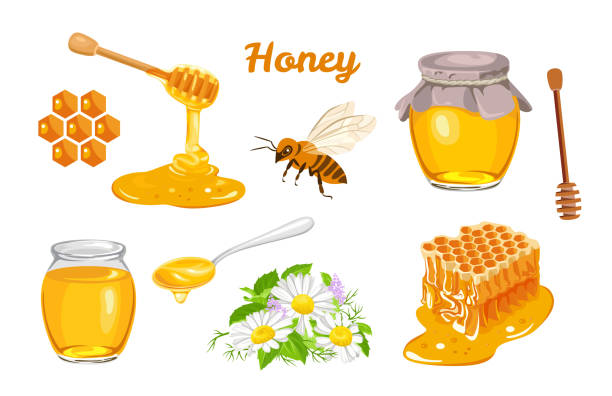 Detail Honey Images Nomer 42