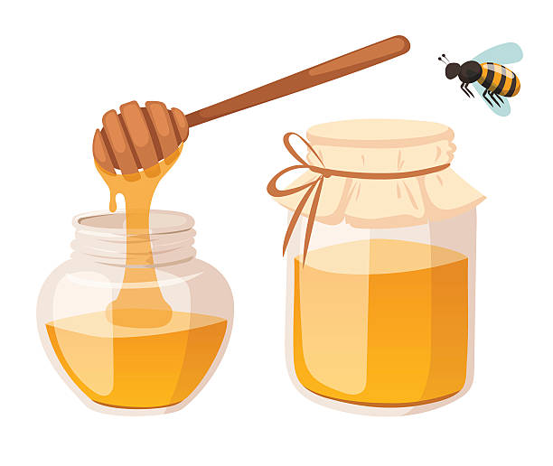 Detail Honey Vector Png Nomer 25