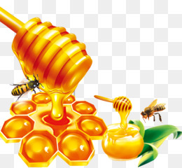 Detail Honey Vector Png Nomer 4