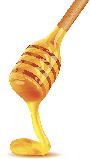 Detail Honey Vector Png Nomer 7