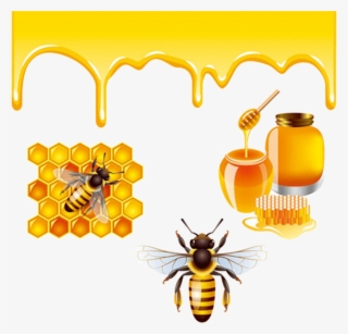 Detail Honeybee Png Nomer 49