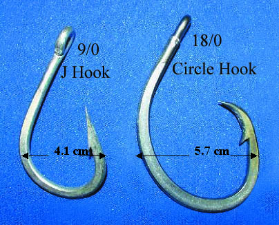 Detail Hook Images Nomer 41