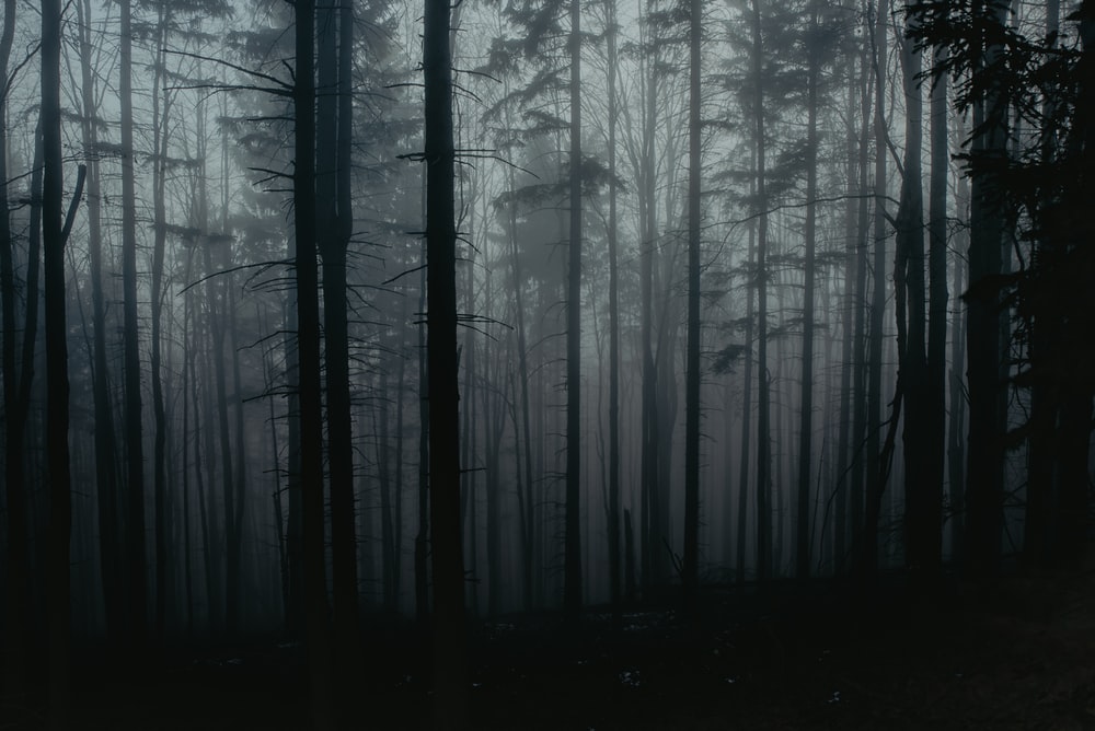 Detail Horror Background Nomer 4