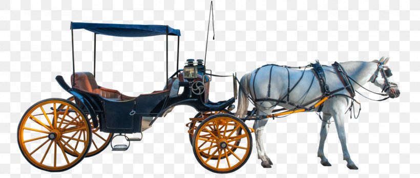 Detail Horse And Carriage Png Nomer 14