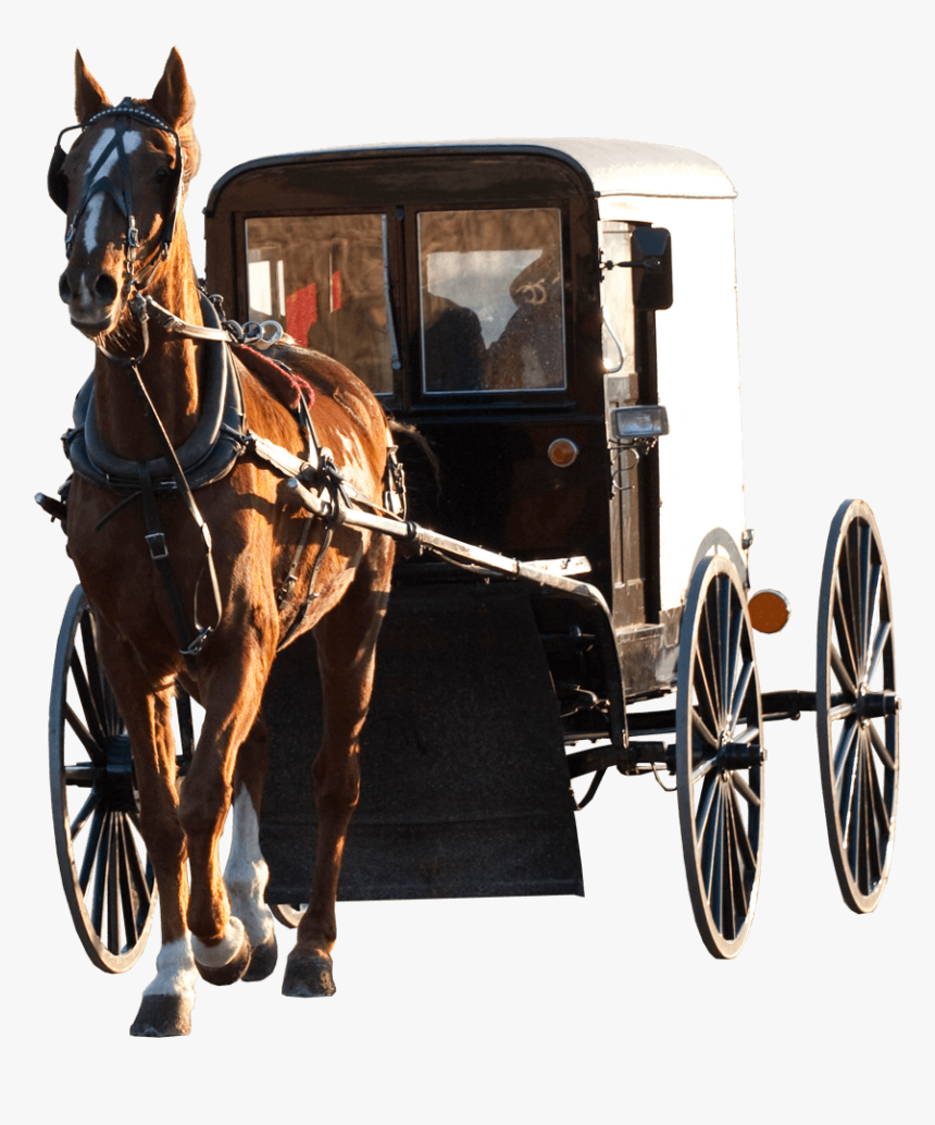 Detail Horse And Carriage Png Nomer 6