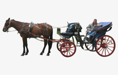 Detail Horse And Carriage Png Nomer 7
