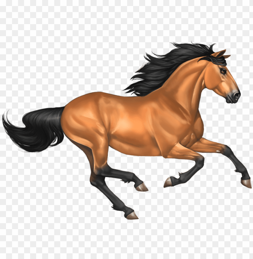 Detail Horse Clipart Png Nomer 11
