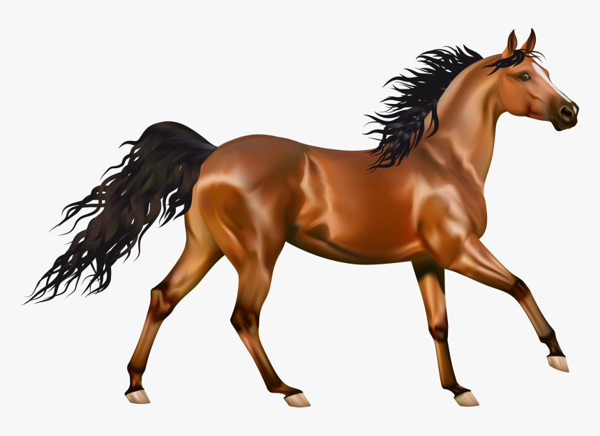 Detail Horse Clipart Png Nomer 12