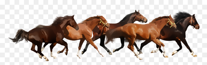 Detail Horse Png Images Nomer 32