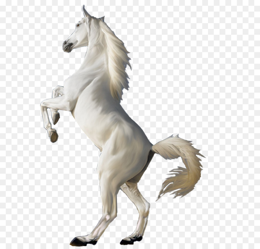 Detail Horse Png Images Nomer 37