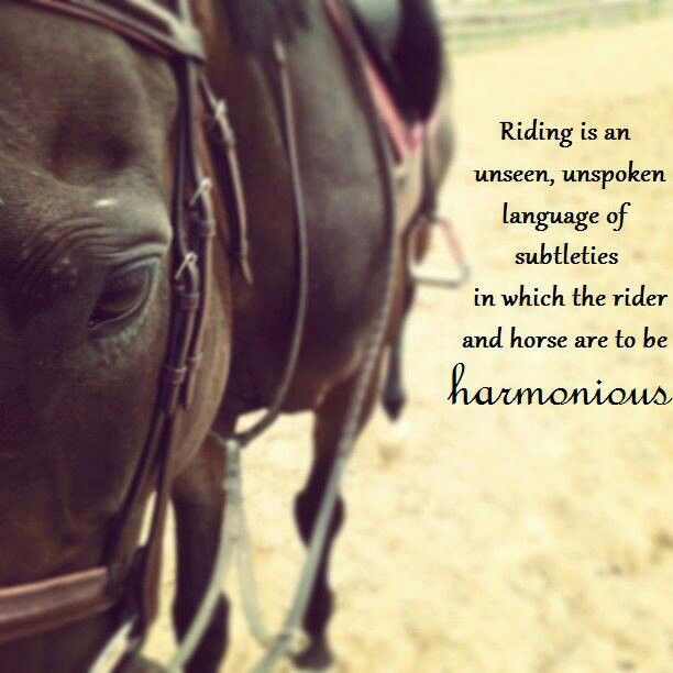 Detail Horse Riding Quotes Nomer 11