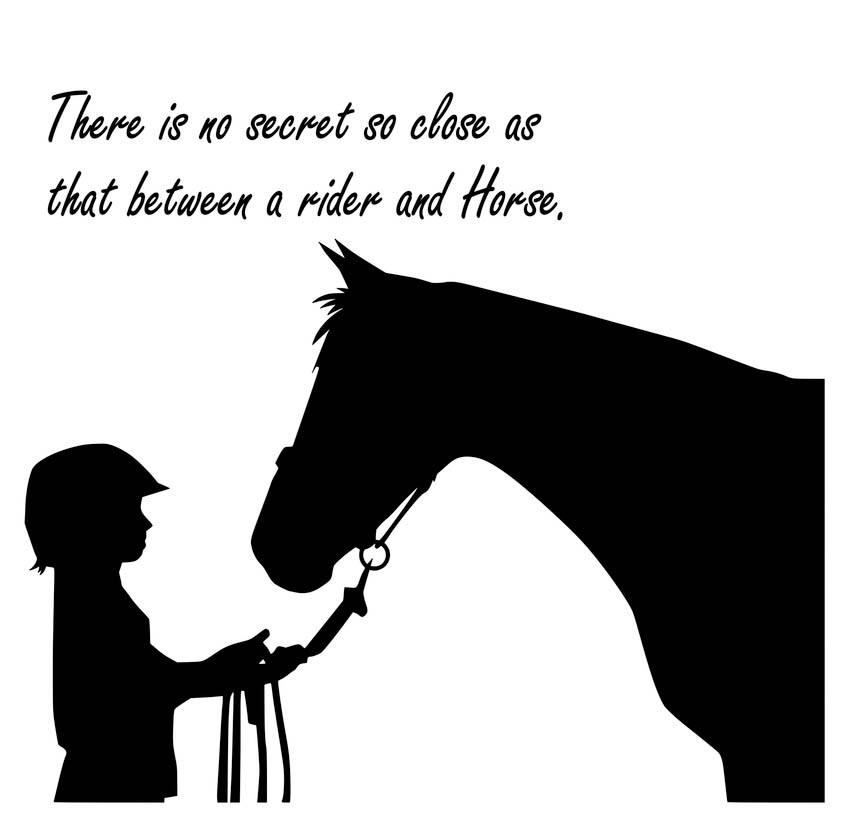 Detail Horse Riding Quotes Nomer 12