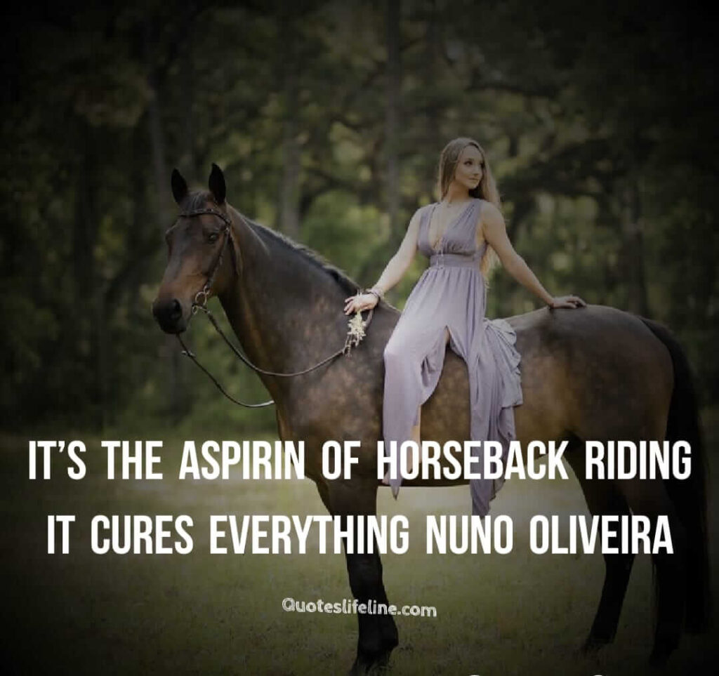 Detail Horse Riding Quotes Nomer 21