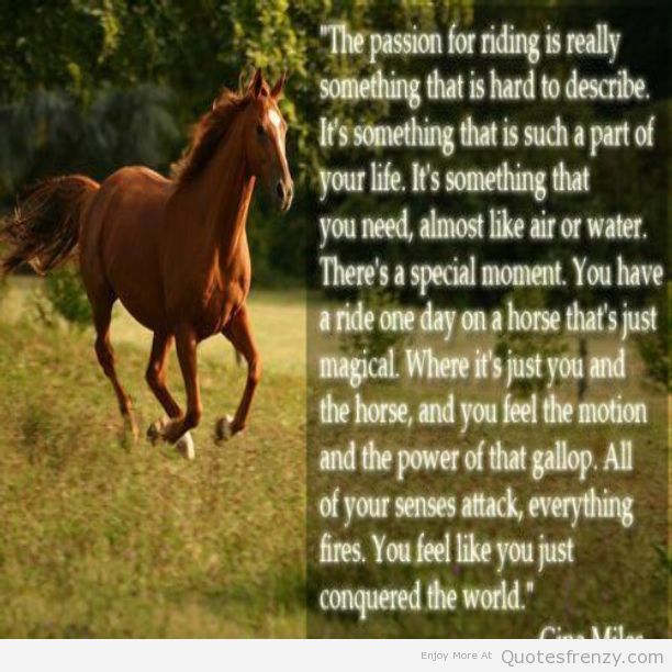 Detail Horse Riding Quotes Nomer 22