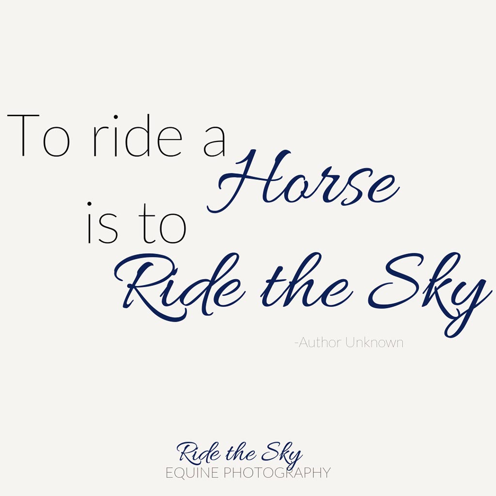 Detail Horse Riding Quotes Nomer 26