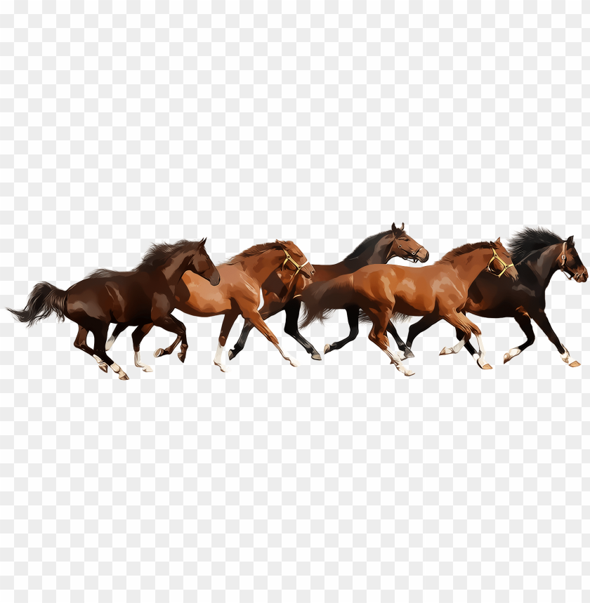 Detail Horse Running Png Nomer 9