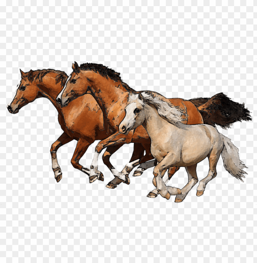 Detail Horse Running Png Nomer 15