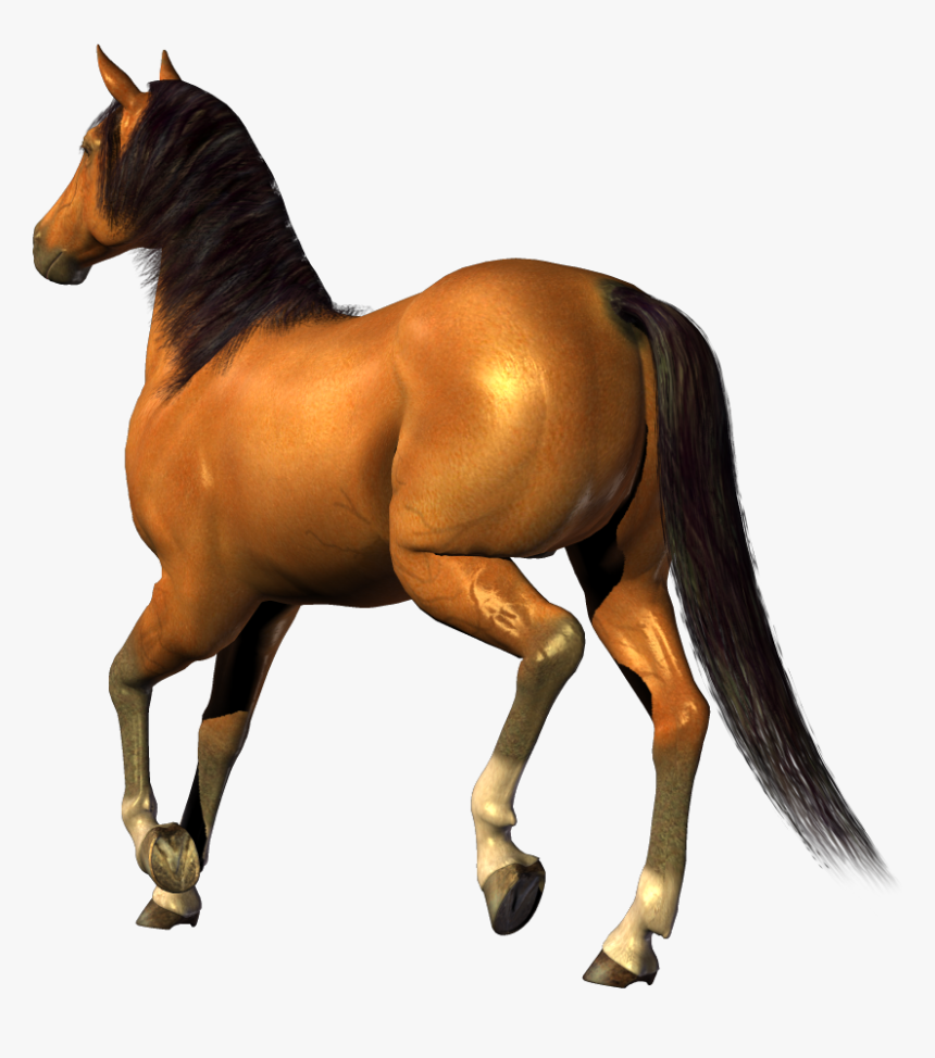 Detail Horse Running Png Nomer 16