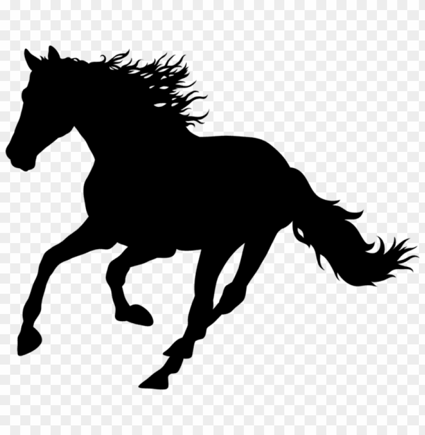 Detail Horse Running Png Nomer 22