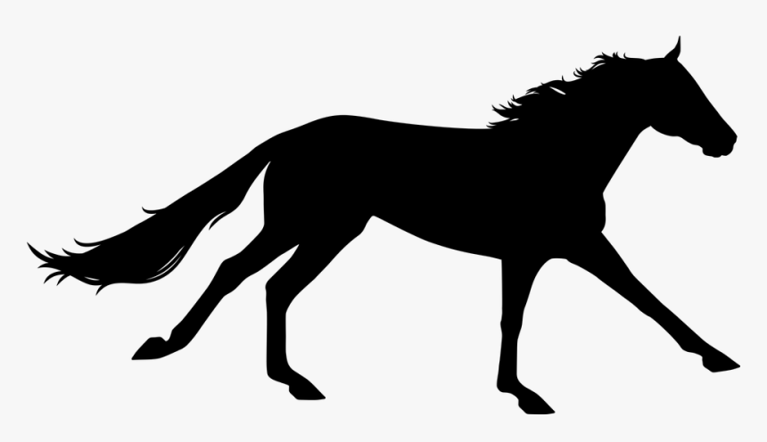 Detail Horse Running Png Nomer 25