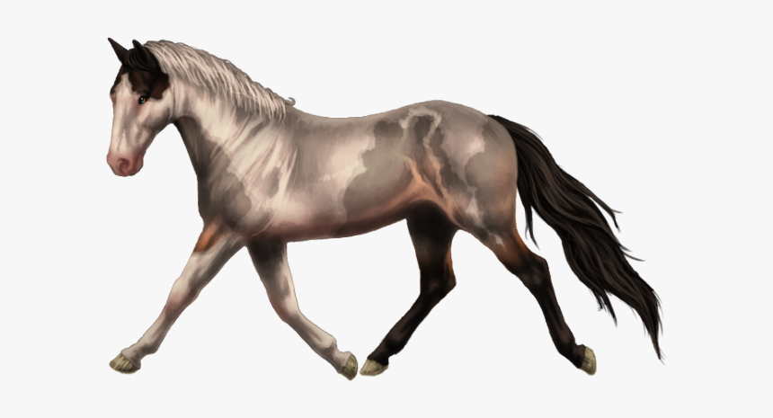 Detail Horse Running Png Nomer 31