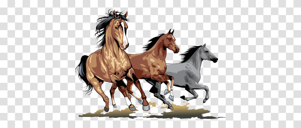 Detail Horse Running Png Nomer 32