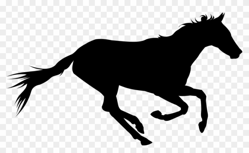 Detail Horse Running Png Nomer 36