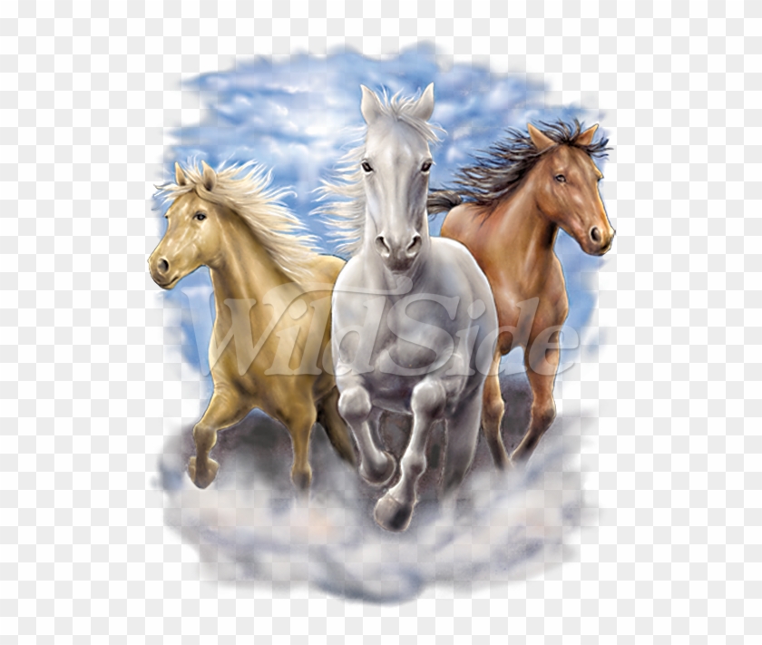 Detail Horse Running Png Nomer 39
