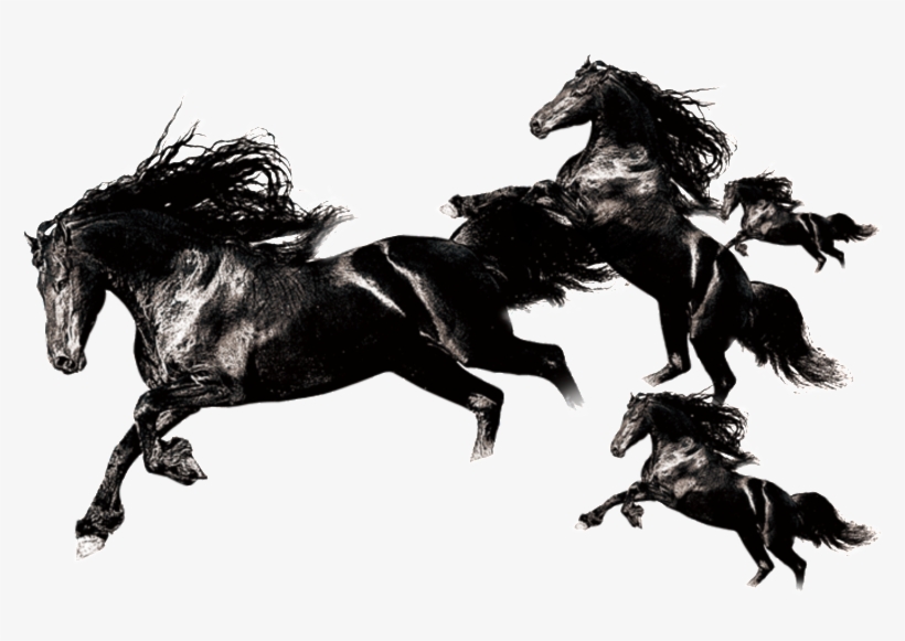 Detail Horse Running Png Nomer 41