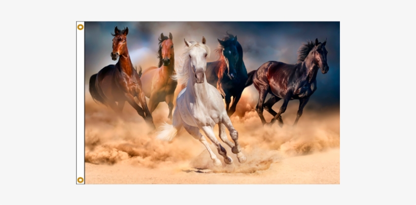 Detail Horse Running Png Nomer 42