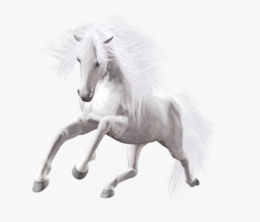 Detail Horse Running Png Nomer 51