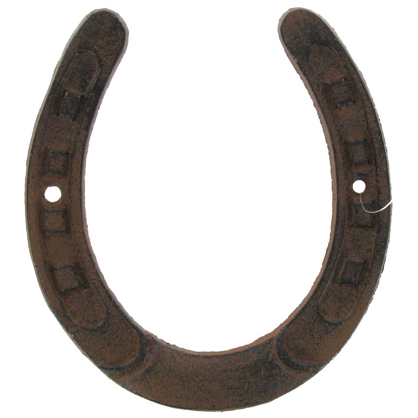 Detail Horse Shoe Pictures Nomer 29