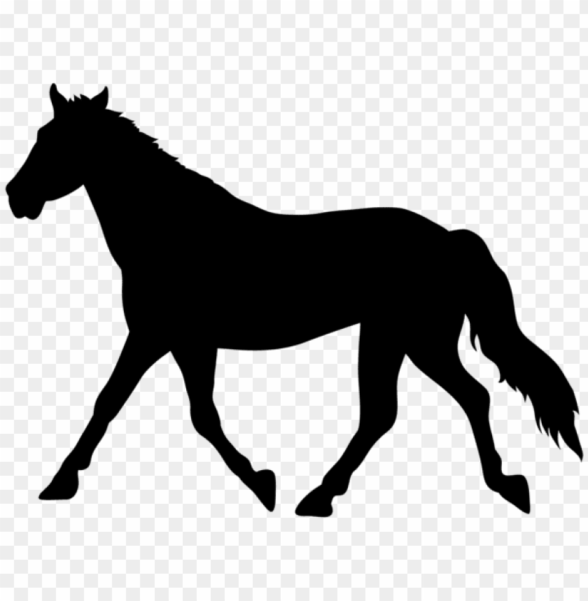 Horse Silhouette Transparent Background - KibrisPDR