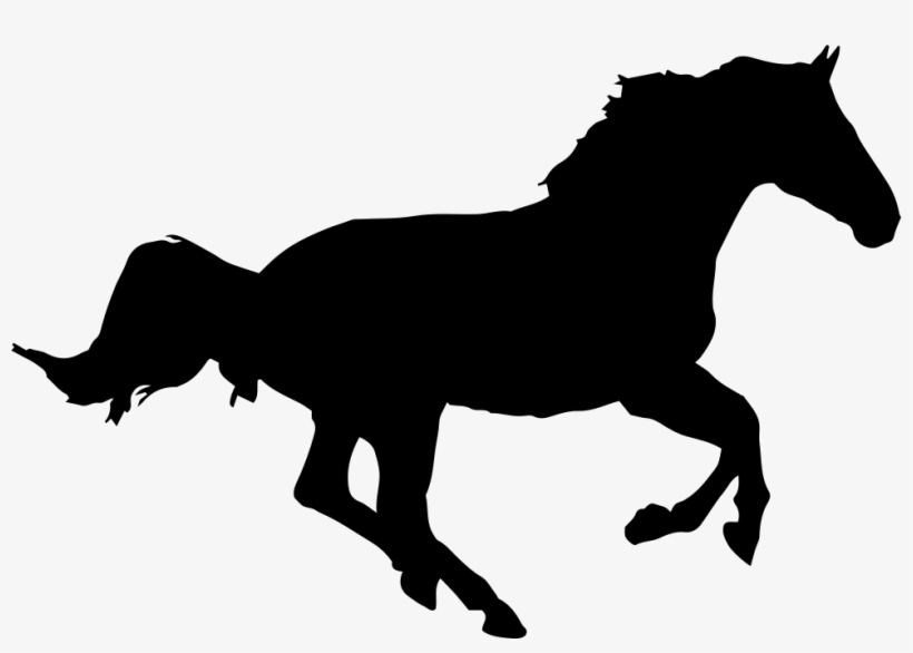 Detail Horse Silhouette Transparent Background Nomer 10