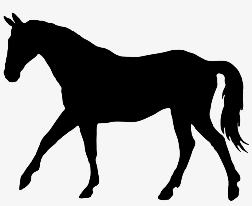 Detail Horse Silhouette Transparent Background Nomer 11