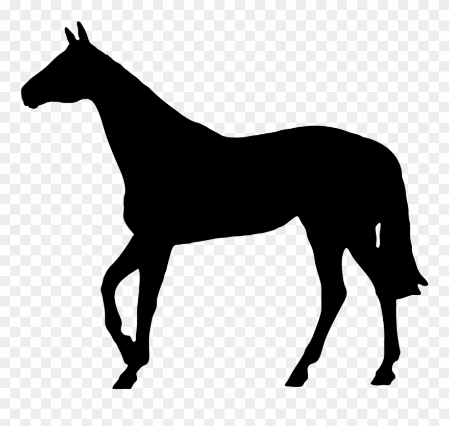 Detail Horse Silhouette Transparent Background Nomer 12