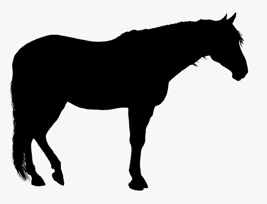 Detail Horse Silhouette Transparent Background Nomer 17