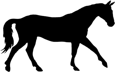 Detail Horse Silhouette Transparent Background Nomer 31